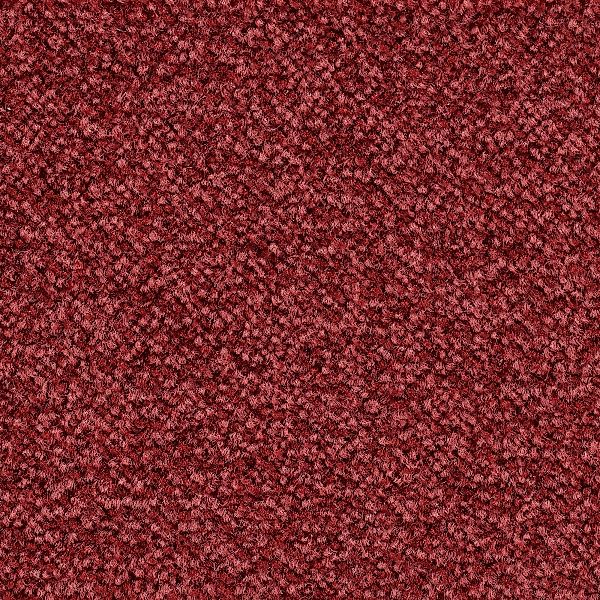 Bodenmeister Teppichboden »Juno, Velours - meliert, Made in Belgium«, recht günstig online kaufen