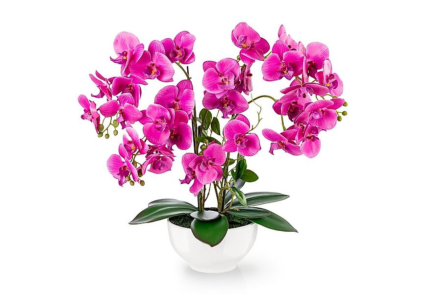 Kunstorchidee PASCH® XXL Orchidee künstlich wie echt (56cm) in Hochglanz-Ke günstig online kaufen