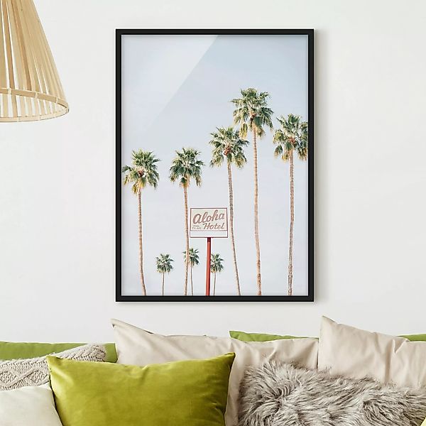 Bild mit Rahmen Palmen vor dem Aloha Hotel günstig online kaufen