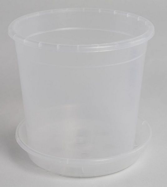 Geli Blumentopf Orchideentopf transparent mit passendem Untersetzer in vers günstig online kaufen