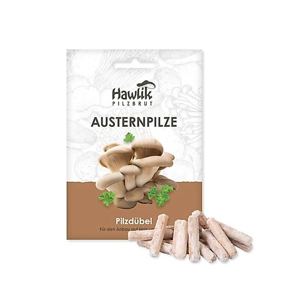 Hawlik Pilzbrut Myzel Dübelbrut Austernpilze für Pilzzucht im Garten auf St günstig online kaufen
