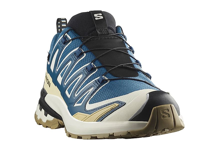 Salomon XA PRO 3D V9 GORE-TEX Laufschuh wasserdicht günstig online kaufen