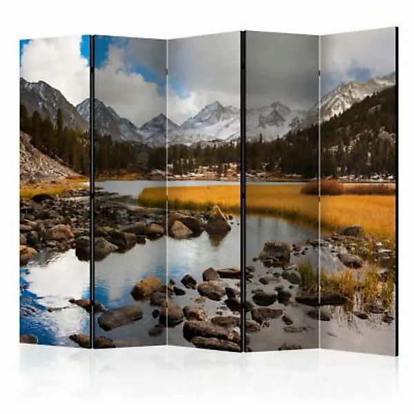 artgeist Paravent Mountain stream II [Room Dividers] grau/braun Gr. 225 x 1 günstig online kaufen