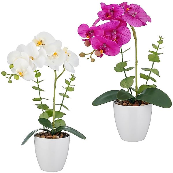 Creativ green Kunstorchidee "Orchidee Phalaenopsis", mit Eukalyptuszweigen günstig online kaufen