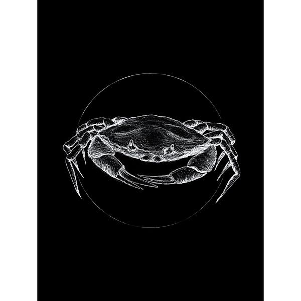 Komar Wandbild Crab Black 30 x 40 cm günstig online kaufen