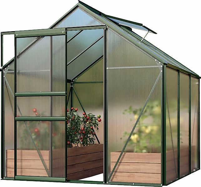 Vitavia Gewächshaus "Venus 3800" Alu-Profile, 4 mm Hohlkammerplatten günstig online kaufen