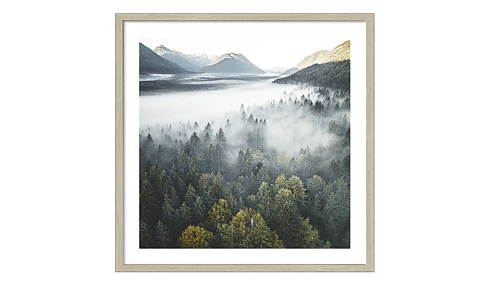Gerahmtes Bild Slim-Scandic  Foggy Forest Atmosphere - 53 cm - 53 cm - Scon günstig online kaufen