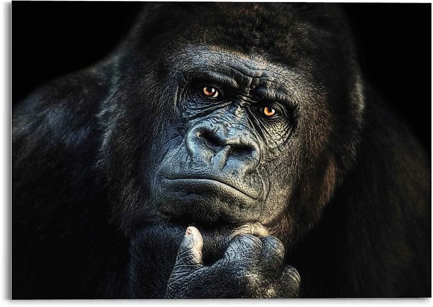 Reinders Glasbild "Glasbild Gorilla Affe - Kräftig - Nachdenklich" Affen 1 günstig online kaufen