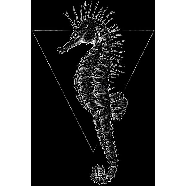 Komar Bild "Sea Horse Black" Tiere 1 Stk. tlg. Wandbild zur Dekoration - oh günstig online kaufen
