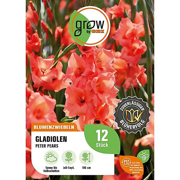 GROW by OBI Gladiole Peter Pears Höhe ca. 100 cm Gladiolus grandiflorus günstig online kaufen