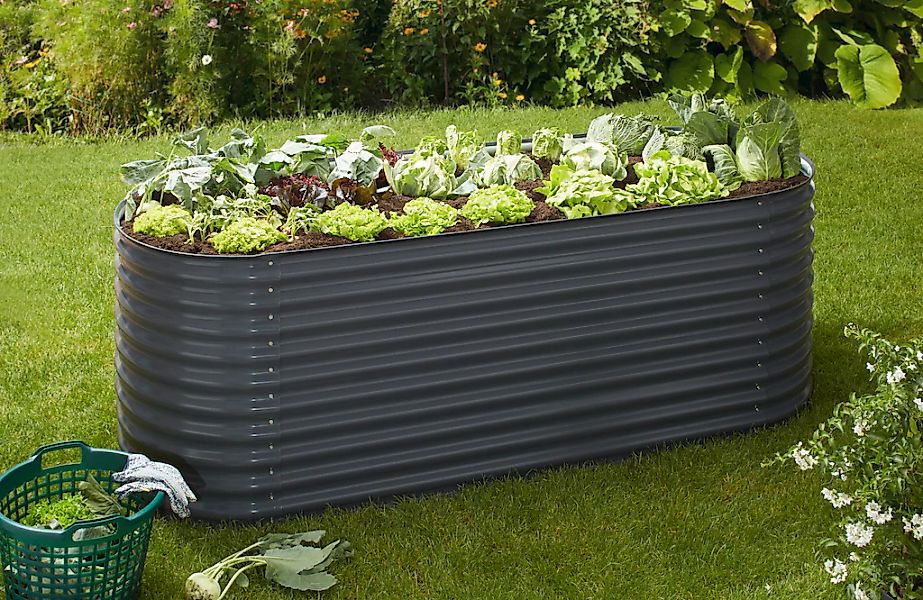 KONIFERA Hochbeet "bodenloses Gartenbeet aus verzinktem Stahl", witterungsb günstig online kaufen