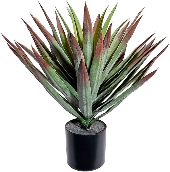 Künstliche Zimmerpflanze Yucca Sukkulente, Creativ green, günstig online kaufen