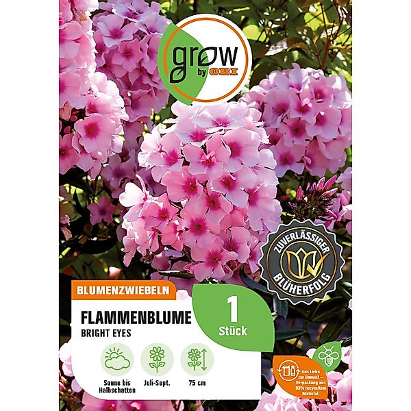 GROW by OBI Flammenblume Phlox paniculata Bright Eyes H. 75 cm Phlox panicu günstig online kaufen