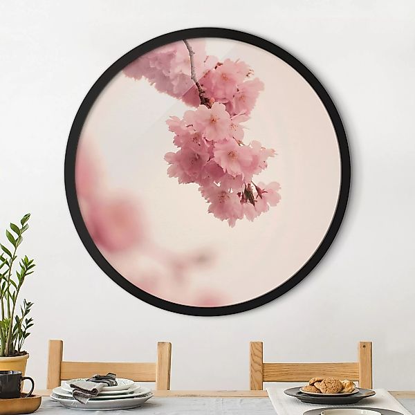 Rundes Gerahmtes Bild Zartrosane Frühlingsblüte mit Bokeh günstig online kaufen