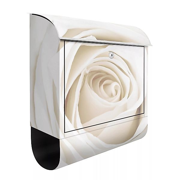 Briefkasten Blumen Pretty White Rose günstig online kaufen