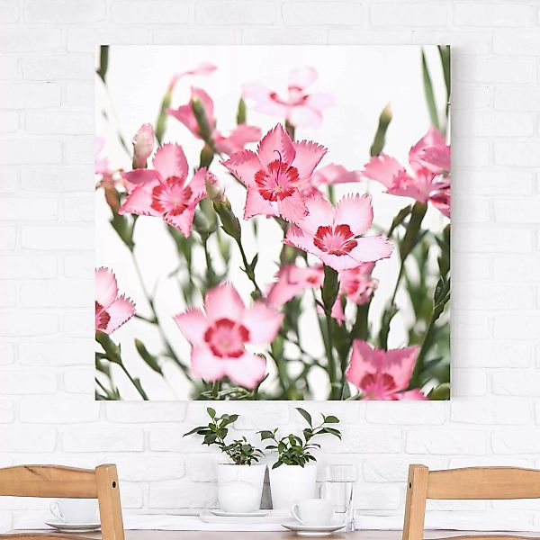 Leinwandbild Blumen - Quadrat Pink Flowers günstig online kaufen