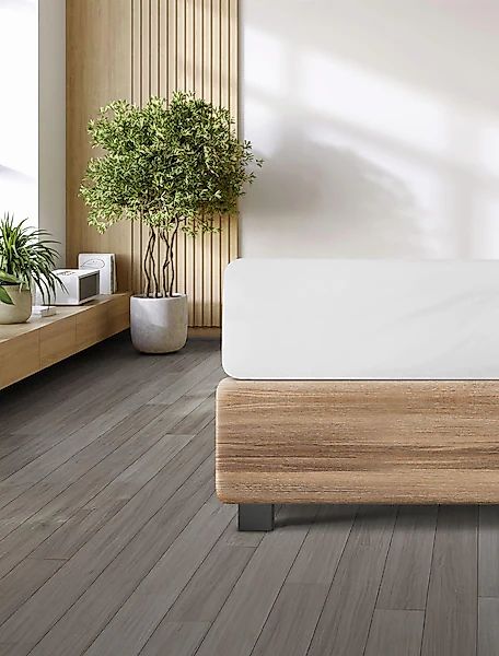 Irisette Spannbettlaken »Porto 20« besonders elastisch günstig online kaufen