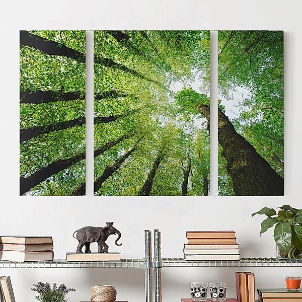 3-teiliges Leinwandbild Wald - Querformat Bäume des Lebens günstig online kaufen