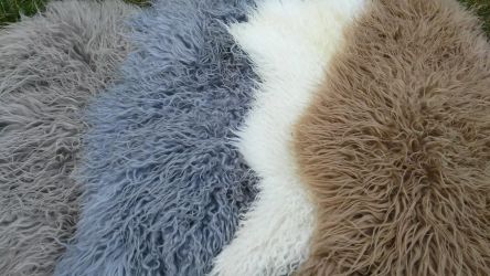 Provellus Fellteppich Island Schaffell Lockig Lammfell günstig online kaufen