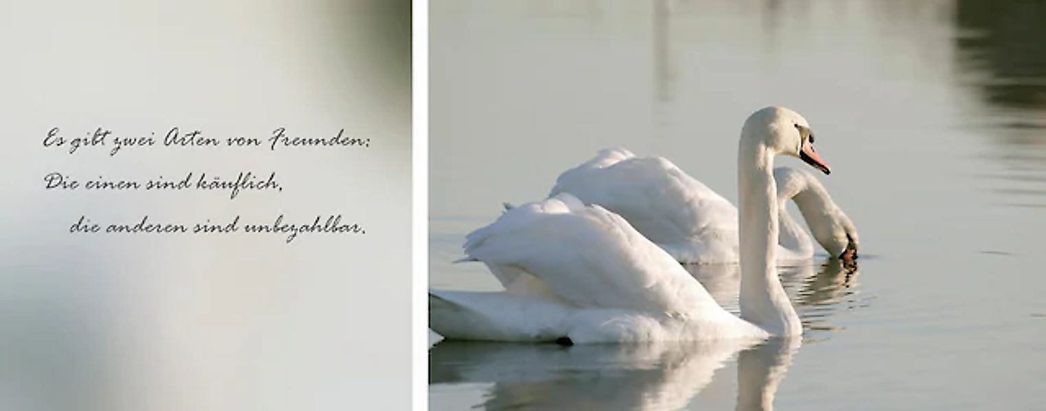 queence Leinwandbild »Freunde« Kunst   Modern   Schriftzug   Schriftzüge günstig online kaufen
