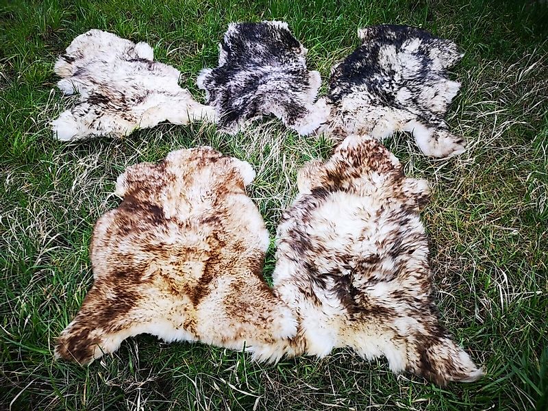 Provellus Fellteppich Geflammtes Öko Schaffell Lammfell Weich Naturfell Bis günstig online kaufen