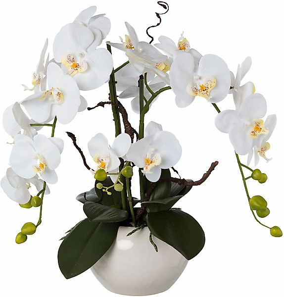 Kunstorchidee Phalaenopsis, Creativ green, Höhe 55 cm, im Keramiktopf günstig online kaufen