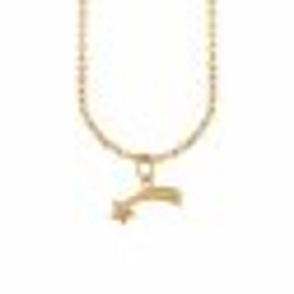 Anhänger mit Kette 925/- Sterling Silber vergoldet Sternschnuppe günstig online kaufen