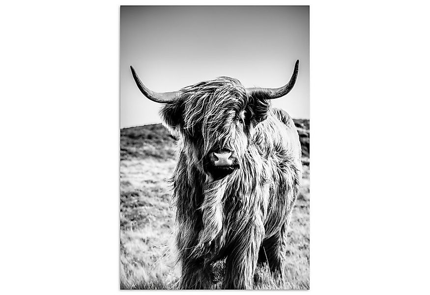 MuchoWow Poster Schottischer Highlander - Natur - Kuh - Schwarz - Weiß, (1 günstig online kaufen
