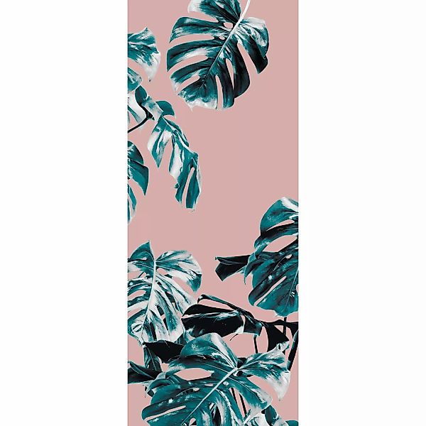 Komar Fototapete Vlies Monstera Rosé Panel 100 x 250 cm  100 x 250 cm günstig online kaufen