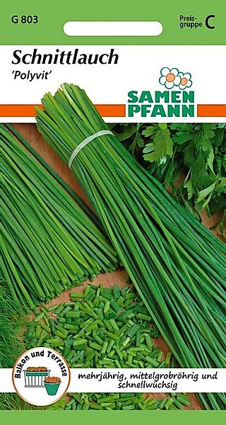 SAMEN PFANN Kräutersamen Schnittlauch, Polyvit - Gewürz Saatgut Schnittlauc günstig online kaufen