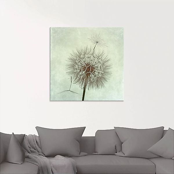Artland Glasbild "Pusteblume II", Blumen, (1 St.), in verschiedenen Größen günstig online kaufen