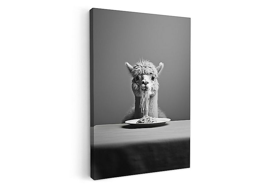 OneMillionCanvasses® Leinwandbild Alpaka - Nudeln - Schwarz - Weiß - Lustig günstig online kaufen