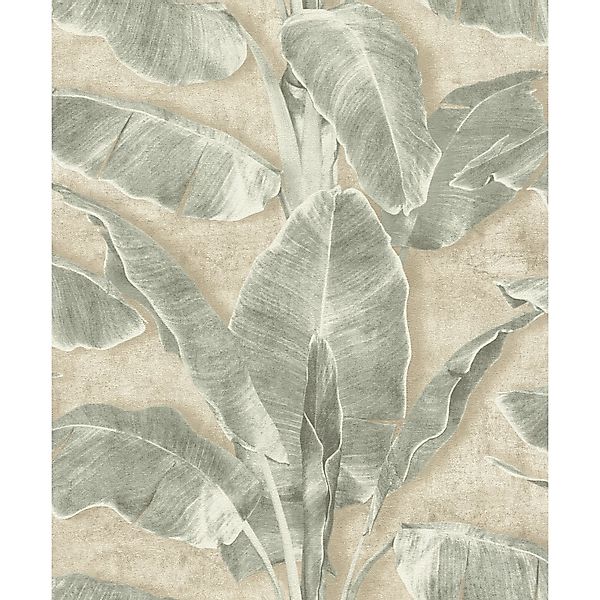 Rasch Vliestapete Cuba - Selbstklebende Tapete Dschungel von tesa® x rasch® günstig online kaufen