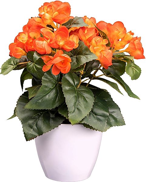 Kunstblume Begonie Blühpflanze, Creativ green, Höhe günstig online kaufen
