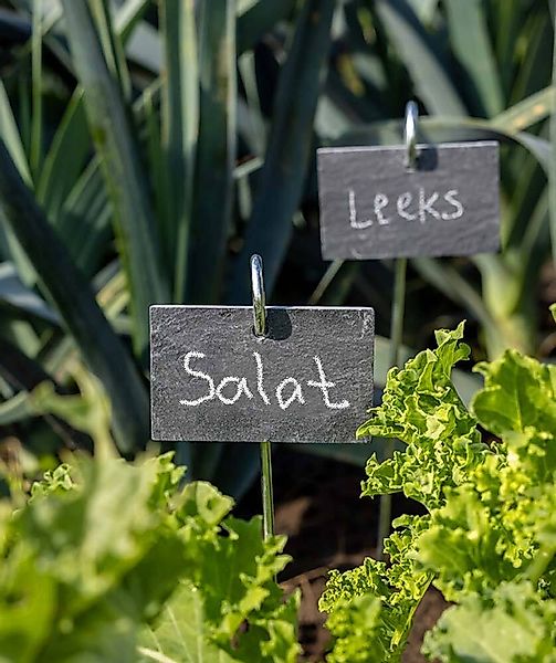 Pflanzschild Schiefer mit Gartenstecker zum Beschriften von Pflanzen, Kräut günstig online kaufen