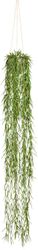 Kunstranke Tillandsia aeranthos im Hängetopf Sukkulente, günstig online kaufen