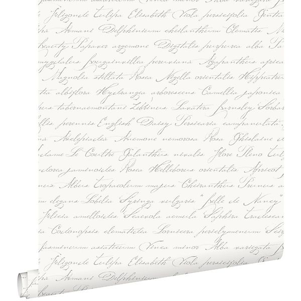 ESTAhome Tapete Handgeschriebene Lateinische Blumennamen Silber 53 Cm X 100 günstig online kaufen