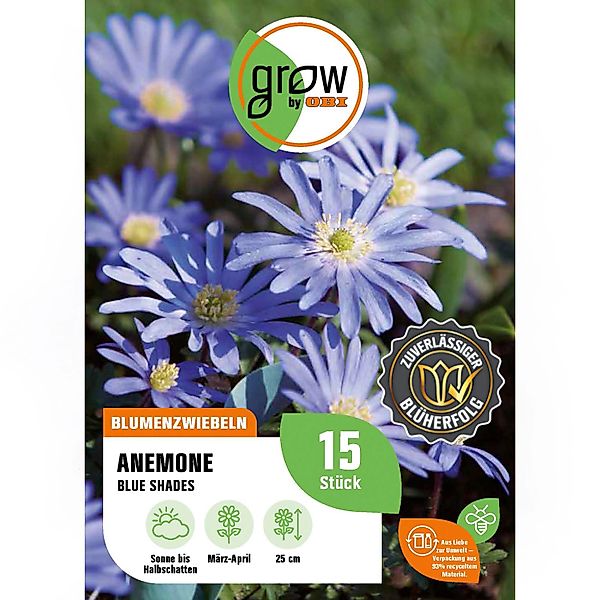 GROW by OBI Anemonen blanda Blue Shades Blau 15 Stück Anemone blanda günstig online kaufen