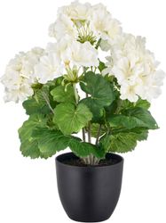 Creativ green Kunstpflanze "Geranie" in UV-beständiger Ausführung günstig online kaufen