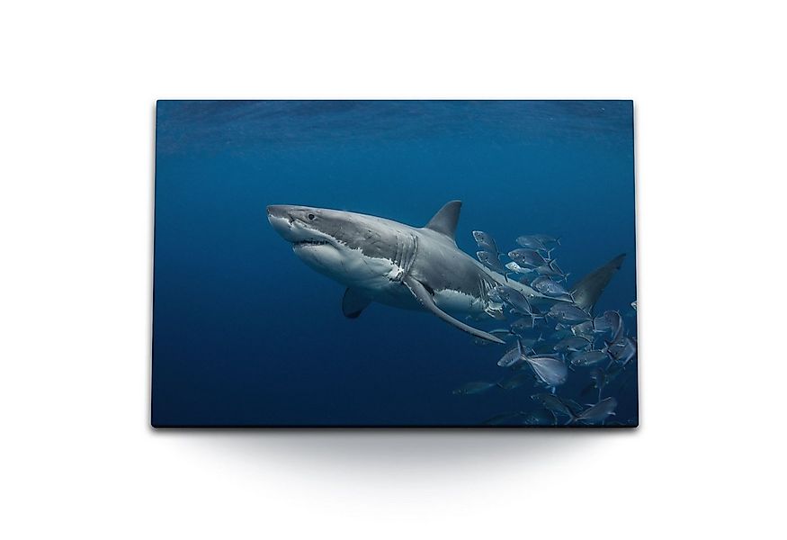 Sinus Art Leinwandbild 120x80cm Wandbild auf Leinwand Weißer Hai Unterwasse günstig online kaufen