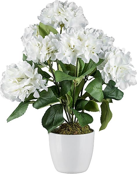Kunstblume Hortensienbusch Mohn, Creativ green, Höhe günstig online kaufen