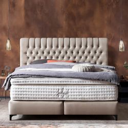 BettCo Boxspringbett Chester (in Creme Velours, günstig online kaufen