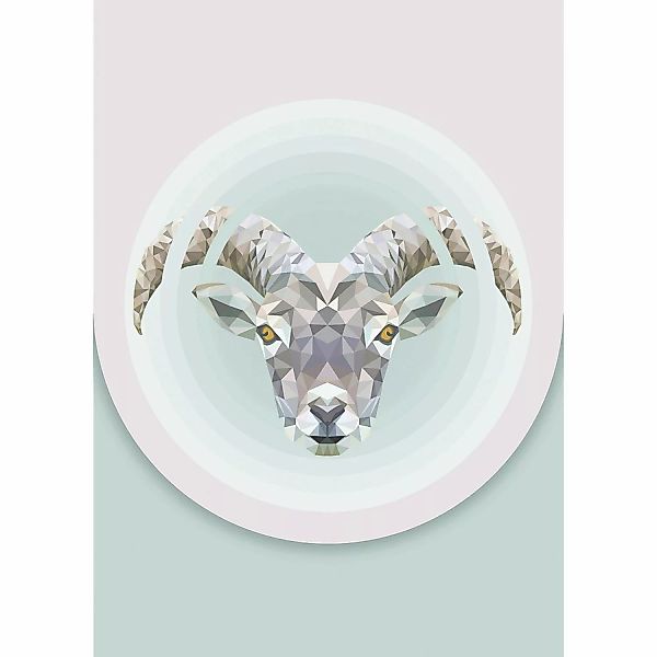 Komar Wandbild Capricorn 50 x 70 cm günstig online kaufen