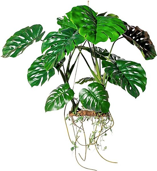 Creativ green Kunstbaum »Hängeobjekt Splitphilodendron« günstig online kaufen