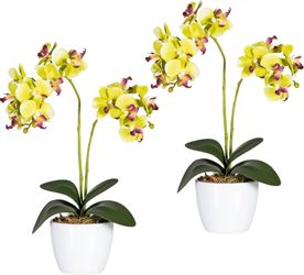 Kunstpflanze Phalaenopsis Orchidee, Creativ green, Höhe günstig online kaufen
