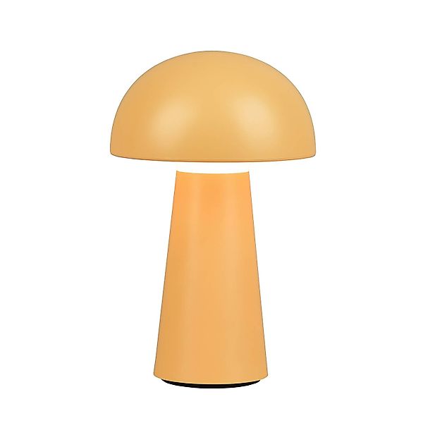 REALITY Leuchten LED Außen-Tischleuchte »Lennon« LED-Board 1 Stk. Warmweiß günstig online kaufen