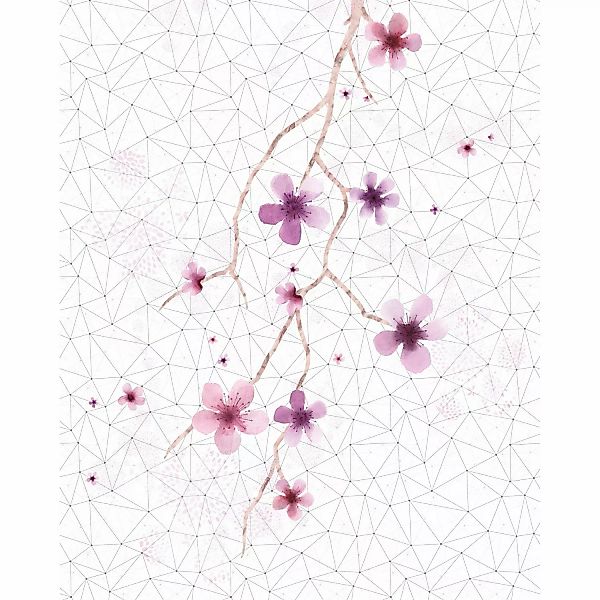 Sanders & Sanders Fototapete Kirschblüten Schwarz-Weiß und Rosa 200 x 250 c günstig online kaufen