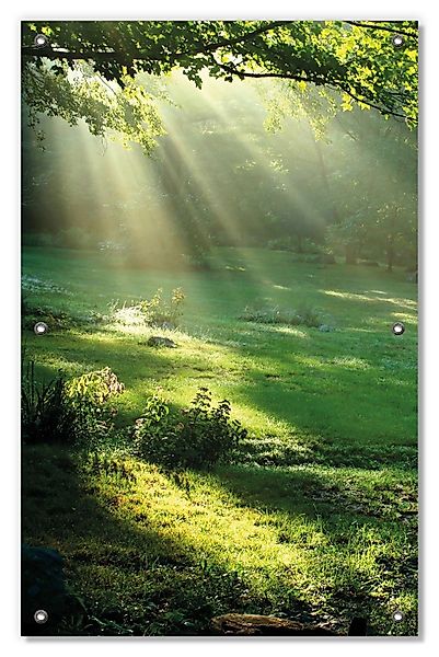 Wallario Sonnenschutz Sonnenstrahlen im Wald, blickdicht, günstig online kaufen