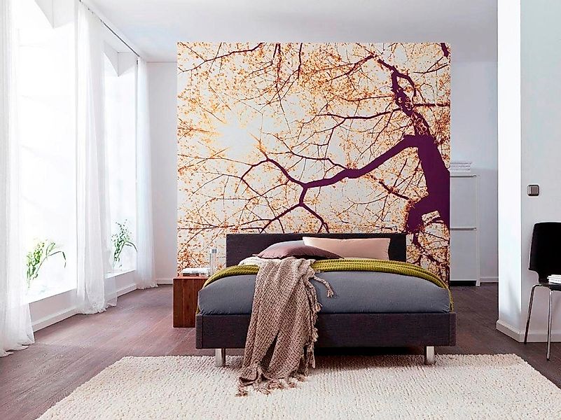Komar Vliestapete »Digitaldruck Vlies - Sunshine - Größe 250 x 250 cm«, bed günstig online kaufen