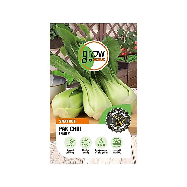 GROW by OBI Pak Choi Green F1-Hybride günstig online kaufen